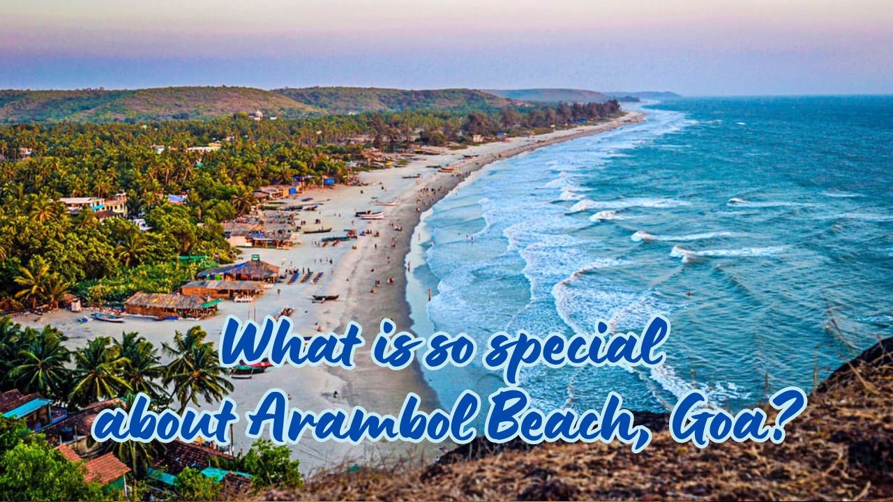 What is so special about Arambol Beach, Goa?